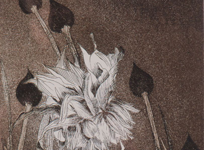 Girasoli - acquatinta - 1974